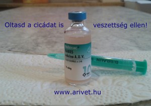 veszettség elleni vakcina fecskendővel